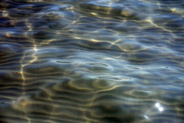 macro water in the sea