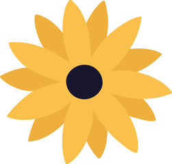 yellow flower isolated on white