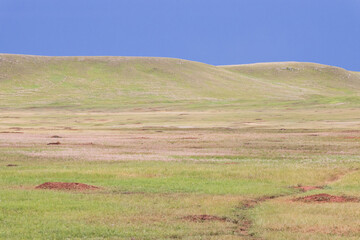 Obraz premium Landscape at Custer State Park, South Dakota