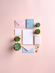 Minimalist Pastel Stationery with Succulent Plant – Modern Workspace Flatlay