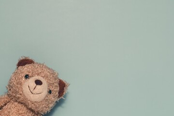 Sweet, fluffy brown teddy bear head smiles from the bottom left on a soft pastel blue. Ideal for childhood, comfort, innocence, or playful designs.