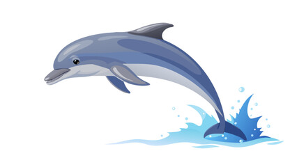 Obraz premium dolphin