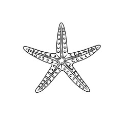Fototapeta premium Outline drawing of a sea star with five arms 