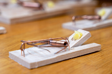 Multiple mousetraps set with cheese bait on a wooden table, pest control themes and household...