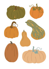 Flat pumpkin set vector. Halloween and thanksgiving collection. Fall festival design