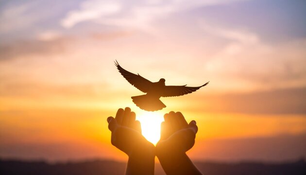 Silhouette of a pigeon returning to human hands against a sunset background, symbolizing freedom and peace. - Powered by Adobe