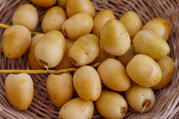 Ripe date palm in wicker basket