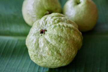 Close-up view of guava fruit on leaf