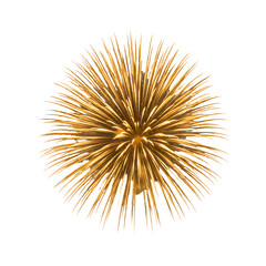 Naklejka premium Radiant gold firework exploding in a spectacular circular burst. Isolated graphic element for celebrating holidays and special occasions.