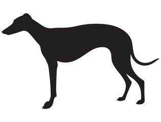 GREYHOUND DOG SILHOUETTE