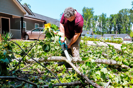 Worker uses chainsaw to remove branches from yard after thunder strong storm, surrounded by greenery