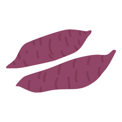 Sweet potato. Batata. Organic vegetable root, healthy vegan, nutrition. Yeld. Autumn Crops. . Products for the farmers' market. Autumn harvest season. Delicious root vegetable. Healthy eating diet.