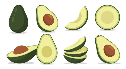 Avocado Assortment: Vector Illustration of Fresh Cut Fruit