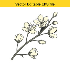 A delicate yellow blossom on a branch, isolated on white background