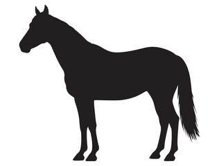 HORSE SILHOUETTE