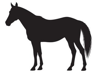 HORSE SILHOUETTE