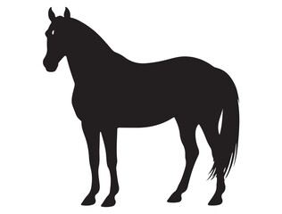 HORSE SILHOUETTE