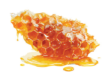 Dripping honeycomb with honey watercolor illustration