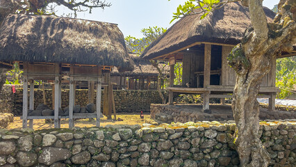 Tenganan village where the traditional  pre hindu culture still exists