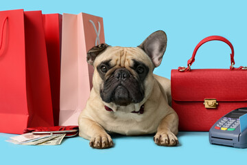 Cute french bulldog lying near wallet, shopping bags, payment terminal and bag on blue background