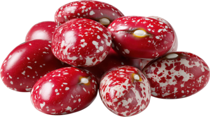 Colorful red bean isolated on transparent background with white spots and glossy texture