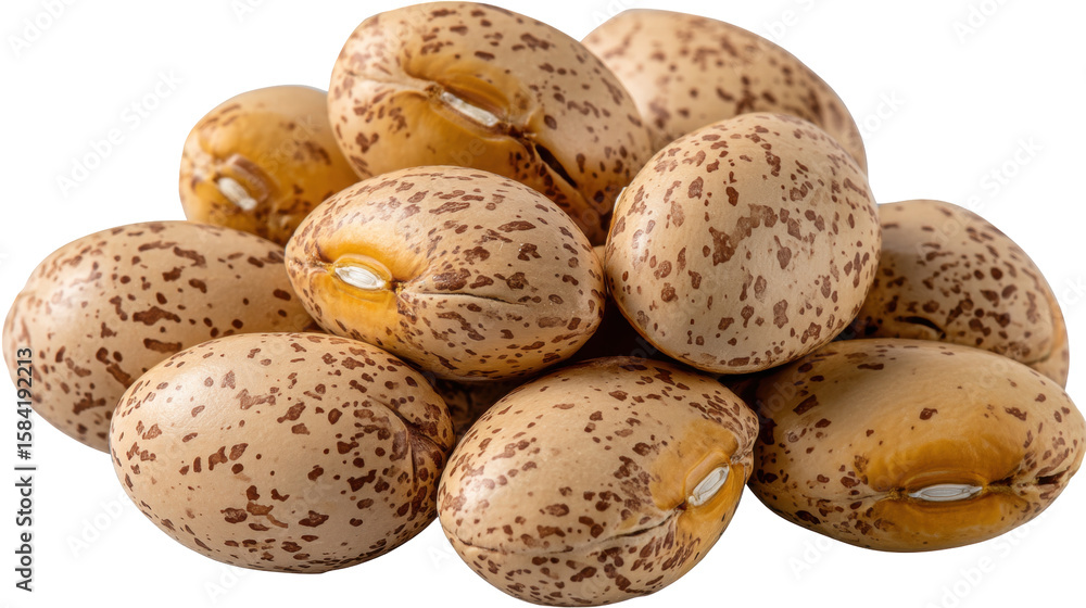Poster pinto bean seeds isolated transparent background with natural brown speckled pattern and smooth