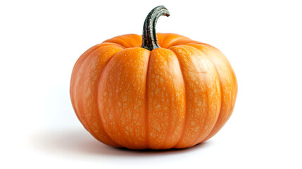 Obraz premium pumpkin isolated on white background