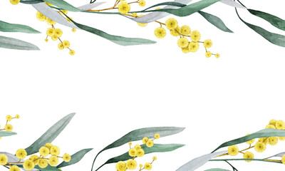 Golden wattle flowers seamless border frame decor element watercolor illustration. Acacia pycnantha Australian native plant. Golden wattle floral elegant design decoration on white background