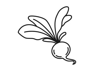 Radish icon. Fruits and vegetables outline icon. Simple vector illustration in modern thin line style.