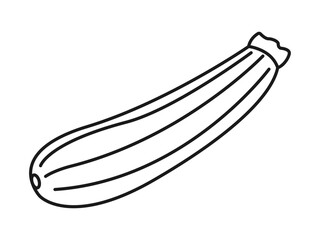Zukini icon. Fruits and vegetables outline icon. Simple vector illustration in modern thin line style.
