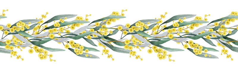 Golden wattle branches with flowers and leaves seamless border decor. Hand drawn watercolor vintage style illustration. Golden wattle floral elegant design decoration on white background