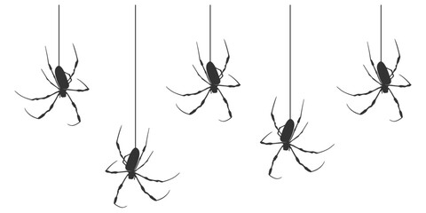Silhouette of Hanging Spiders on Web Strings – Creepy Insect Illustration for Halloween Decor
