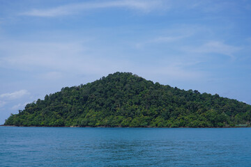 Small tropical island in tropical seascape showing plants growing from seeds carried by tides and wind