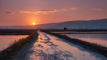 breathtaking sunset over agricultural fields in  different countries showcasing beauty of nature
