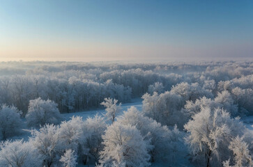 Frosty winter morning sky depicted in light blue tones shifting gently to soft white haze near horizon providing minimal yet vibrant seasonal image of cold fresh atmosphere with realistic