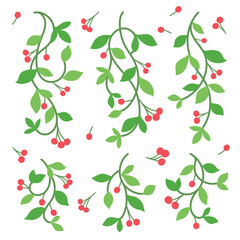 Floral Vine Clipart Set – Green Vines with Berries Vector Colloection