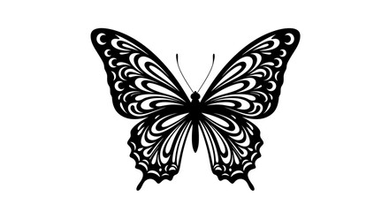 Intricate black and white butterfly illustration on a clean white background