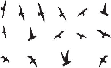 vector silhouettes of birds