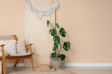 Interior of living room with armchair and Monstera plant