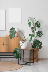 Interior of living room with Monstera plant and commode