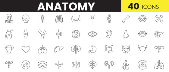 Anatomy Line Art Icon Set &ndash; Minimal Human Body & Organ Outline Icons for Medical and Educational Use