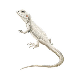 Albino lizard upright with curled tail