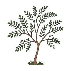 Obraz premium Cartoon Moringa Tree Illustration with Green Leaves and Brown Trunk on White Background