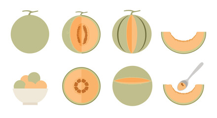 Cantaloupe Fruit Stages - Whole, Sliced, and Dish