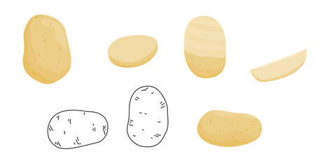 Raw potatoes and potato slices in flat vector and outline drawing.