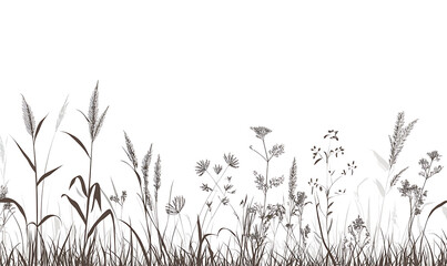 Highly detailed illustrations of various trees, leaves, grasses, and botanical elements, featuring realistic, minimalist, and abstract compositions on a white background.