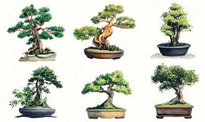 Highly detailed illustrations of various trees, leaves, grasses, and botanical elements, featuring realistic, minimalist, and abstract compositions on a white background.