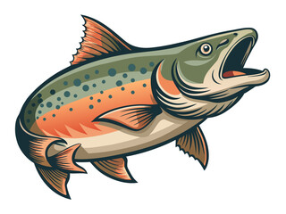 salmon illustration