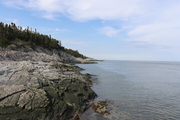 Coastline and geology formation. Rocks and pines on a riverside in Charlevoix in Quebec. Charlevoix landscape and travel.