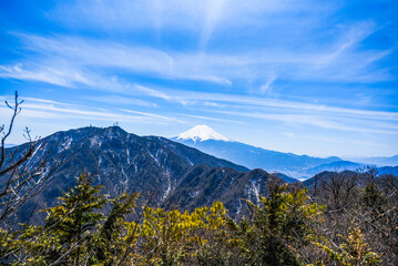 Fototapeta premium 本社ヶ丸から見る富士山